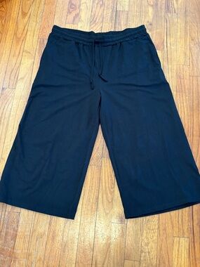 UE Women’s Black Cropped Wide-Leg Pants 2X